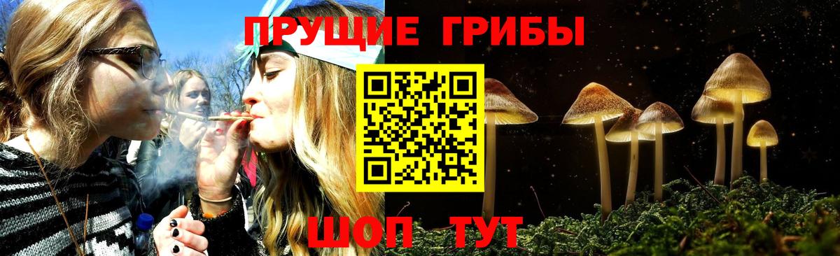 Галлюциногенные грибы мицелий Усинск