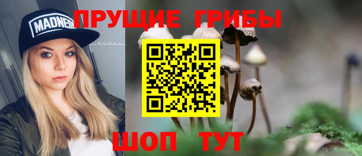 Усинск  Галлюциногенные грибы Psilocybe  Вход с VPN  Псилоцибиновые грибы Psilocybine cubensis 